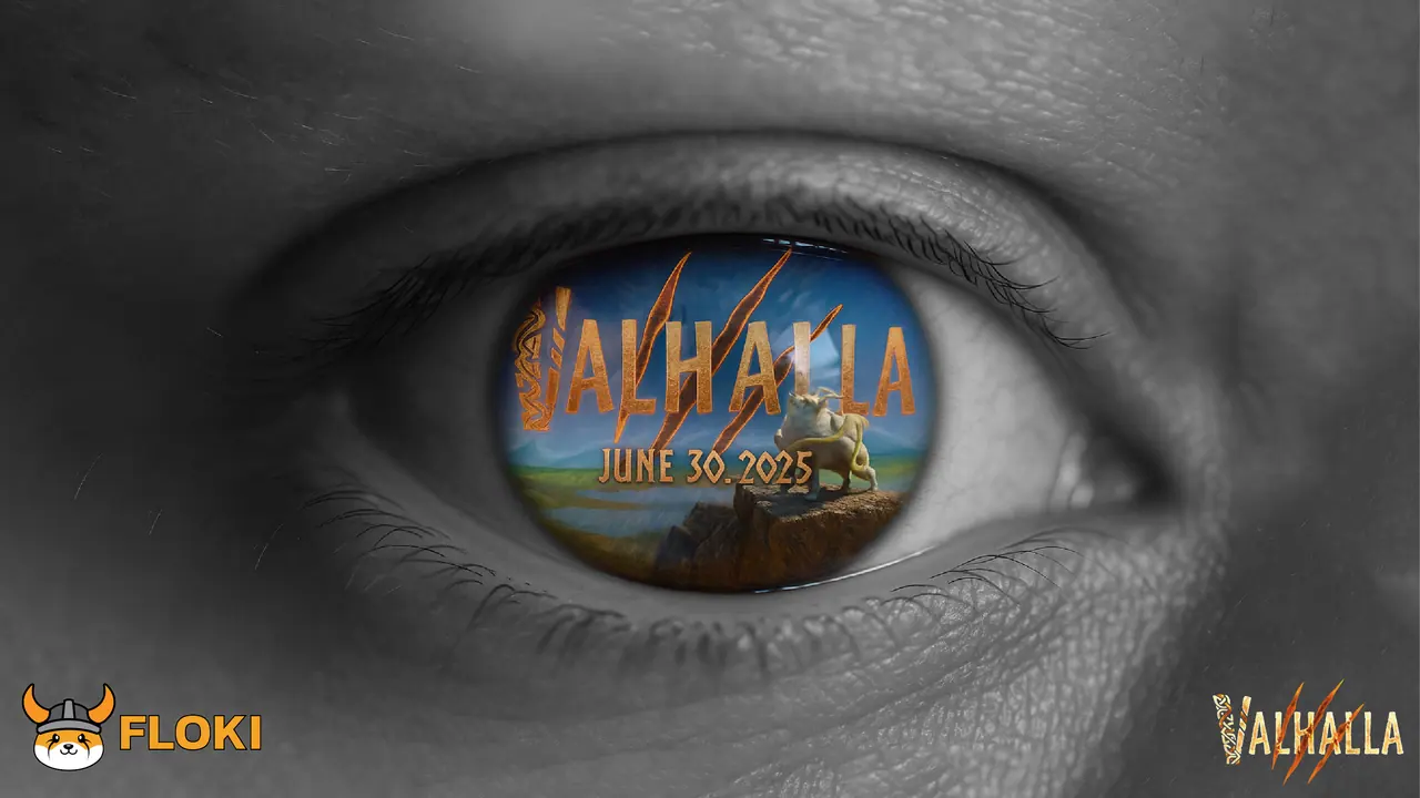 Cover artwork for Patch 1.0.0 - A new voyage begins